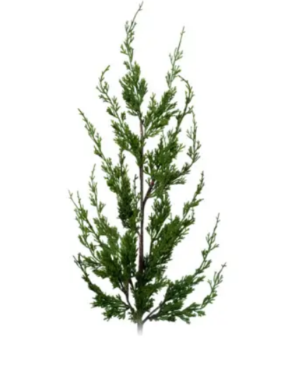 Ветвь кипариса H97 см, пластик, зеленый,