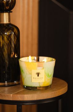 Свеча Max 10 500 г Riviera Santo Sospir Baobab