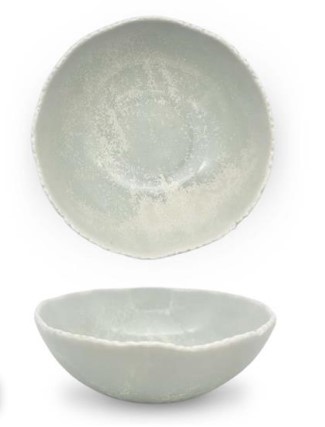 Салатник 500 мл, d 15,2 см h 6,5 см, фарфор, Boletus Fusion